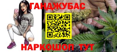 мет Камышлов