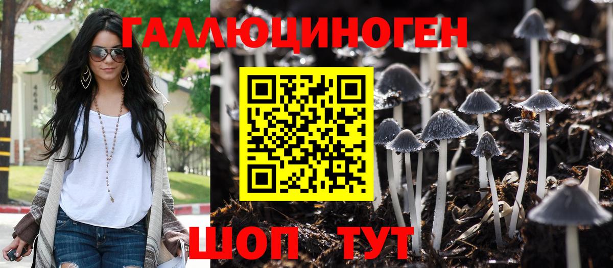 Галлюциногенные грибы мицелий Тверь
