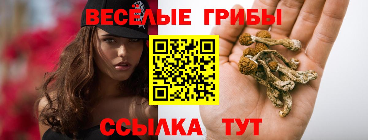 Псилоцибиновые грибы мицелий  Вход с VPN  Тверь 