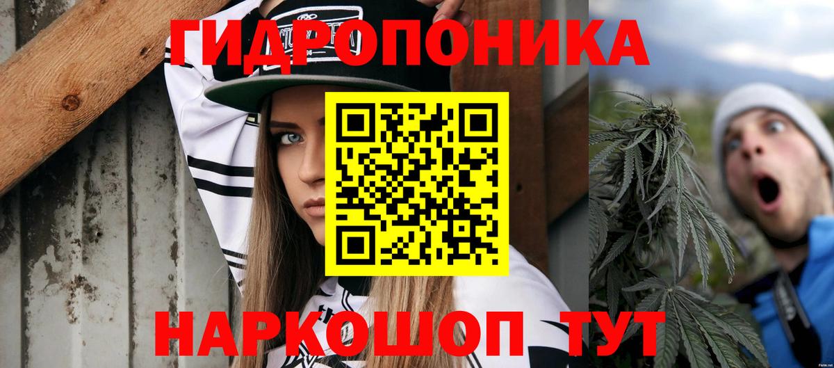 Каннабис AK-47  Каннабис семена  Вход с VPN  Бошки Шишки AK-47  Тверь 